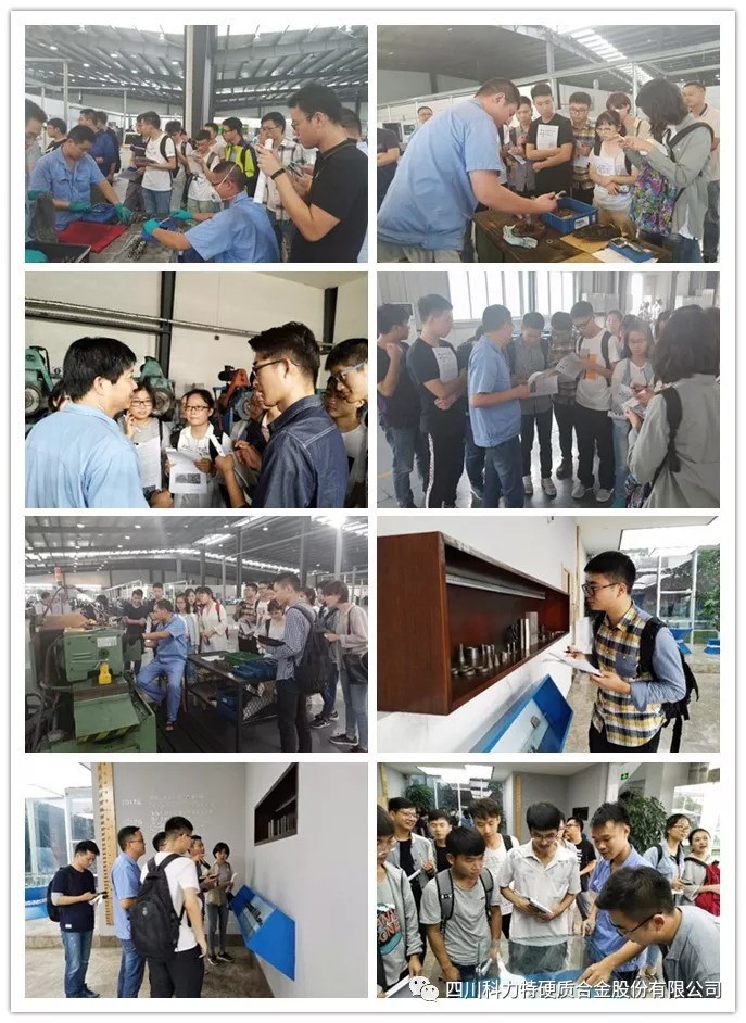 1546084360122709.jpg 4.jpg