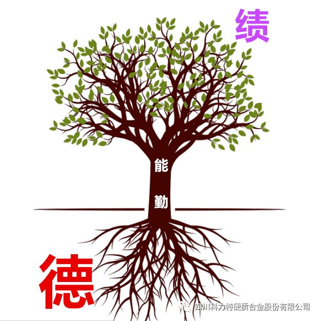 1562136847106895.jpg IMG_261